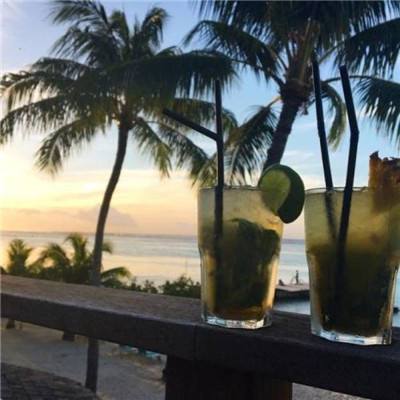 ManBetX客户端登录手机app下载